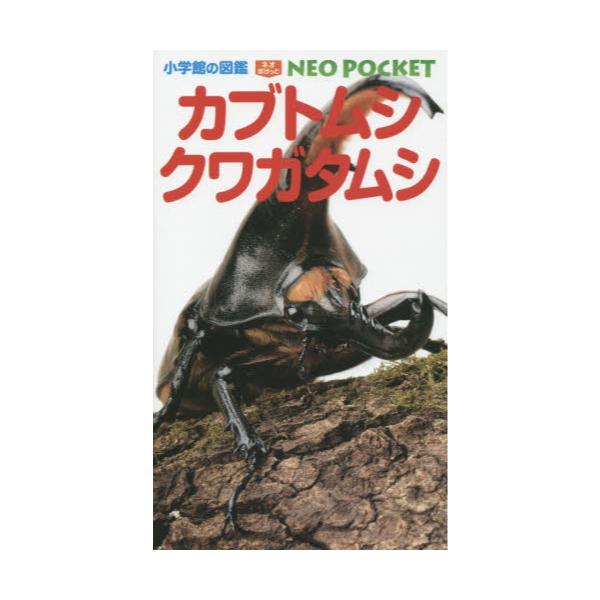 書籍 カブトムシ クワガタムシ 小学館の図鑑neo Pocket 10 小学館 キャラアニ Com