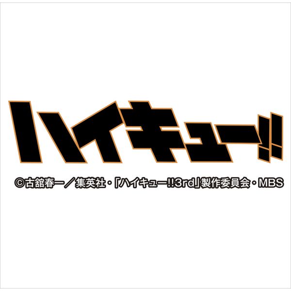 書籍 卓上 ハイキュー 17年カレンダー Cl 18 エンスカイ キャラアニ Com