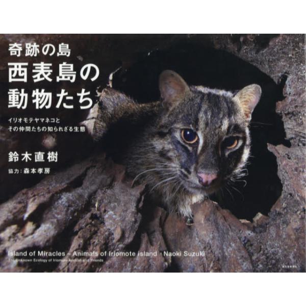 書籍 奇跡の島 西表島の動物たち イリオモテヤマネコとその仲間たちの知られざる生態 誠文堂新光社 キャラアニ Com