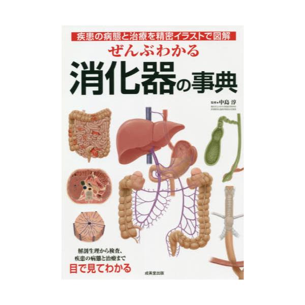 書籍 ぜんぶわかる消化器の事典 疾患の病態と治療を精密イラストで図解 成美堂出版 キャラアニ Com