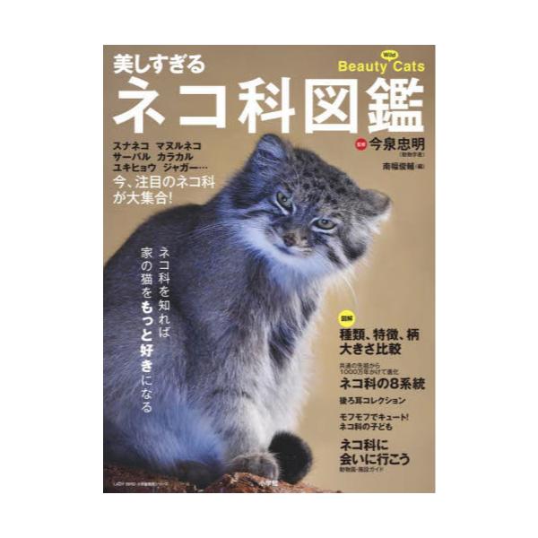 書籍 美しすぎるネコ科図鑑 スナネコ マヌルネコ サーバル カラカル ユキヒョウ ジャガー 今 注目のネコ科が大集合 Lady Bird小学館実用シリーズ 小学館 キャラアニ Com