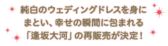 再販】『とらドラ！』逢坂大河 ウェディングドレスver. 1/7スケールフィギュア｜キャラアニ.com